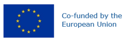 eu disclaimer