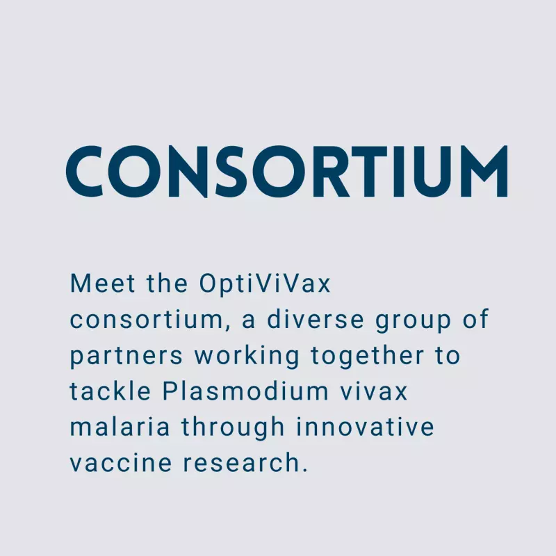 Consortium text on a light gray background