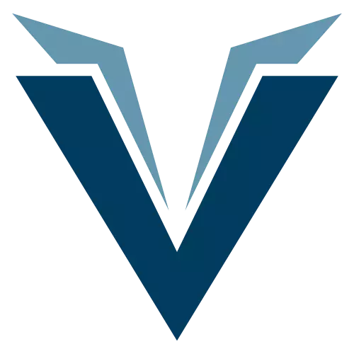 V icon
